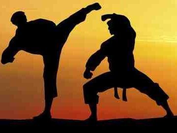 Quel est le meilleur art martial a commencé à 50 ans ?